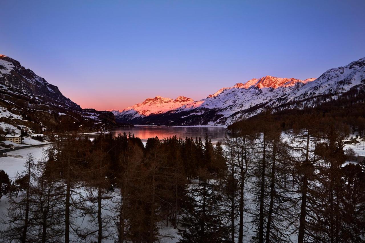 Maloja Palace Residence Engadin-St Moritz Co2-Neutral Bagian luar foto